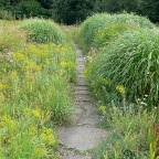P1040837